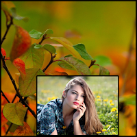 Autumn Photo Frames HD