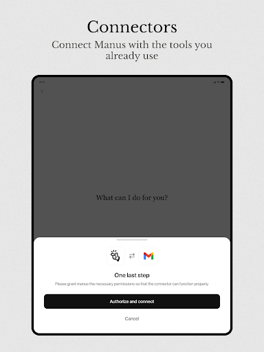 Manus AI screenshot 10