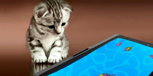 Animal games: Peppy Cat::Appstore for Android