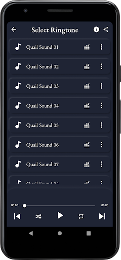 Quail Sounds Screen 3
