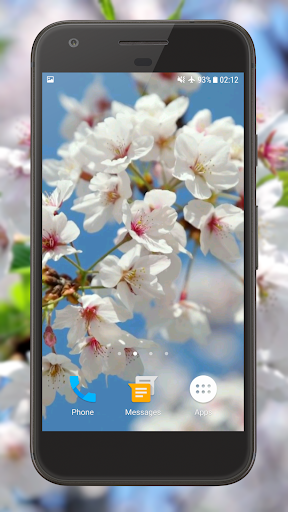 Android application Cherry Blossom Video Theme HD screenshort