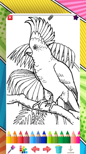Birds Glitter Coloring Pages