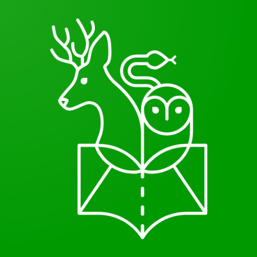 Roadkill logo
