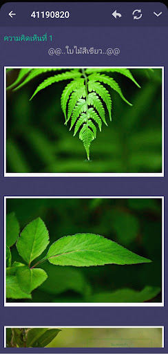 Cafe for Pantip™ Screen 3