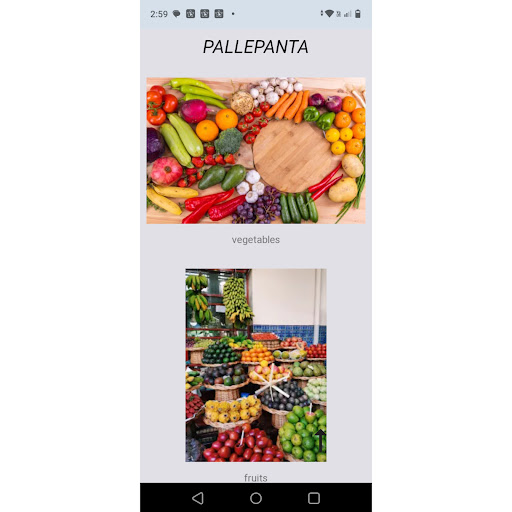 palle panta Screen 2
