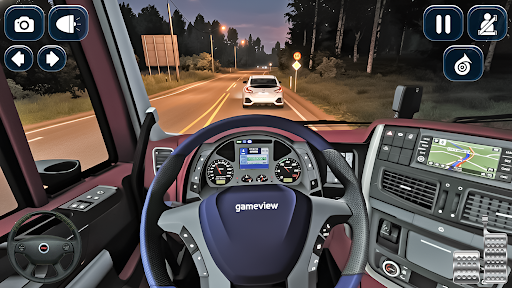 Truck Simulator Game Offline screenshot 9