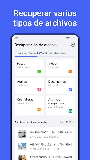 Vista previa de la aplicación