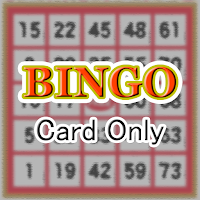 Bingo Card Only
