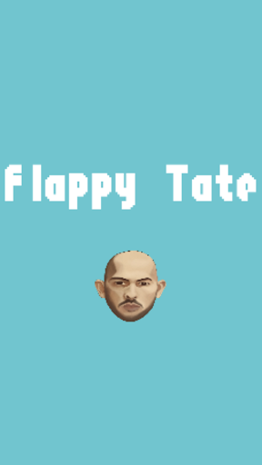 Flappy Tate Screen 2