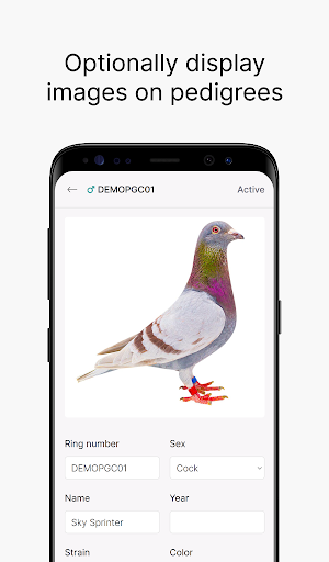 Loftmate - Pigeon Pedigrees Screen 3