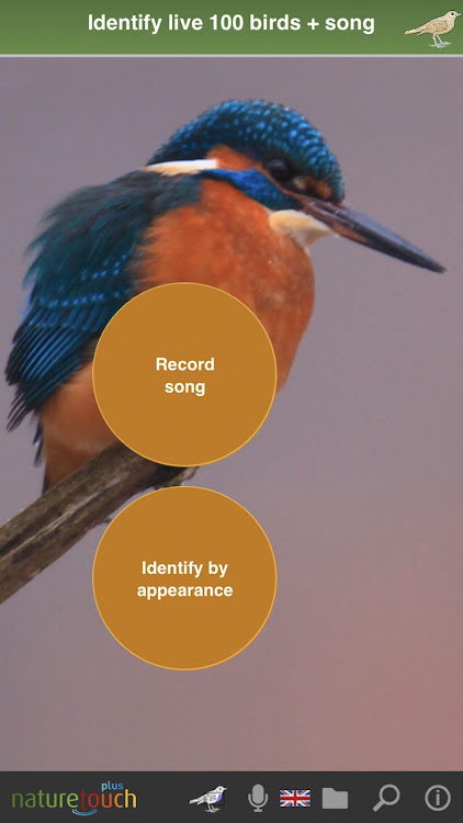 Identify live bird songs, natu - 1.2.0 - (Android)