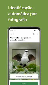 Imagem da captura de tela