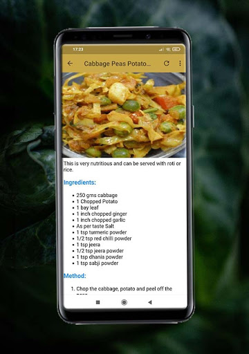 Cabbage Recipes