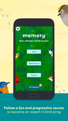 Birdie Memory - Screenshot 4