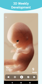 Pregnancy app cheap baby size