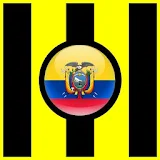 Los Aurinegros - Fútbol de Ecuador icon