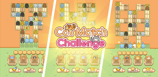 Cat Match Challenge