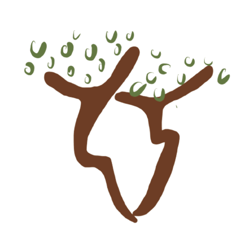 Africa 4 Climate logo