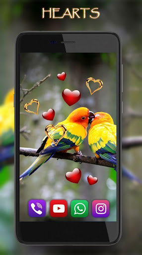 Love Birds Live Wallpaper