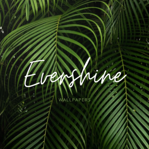 Evershine logo
