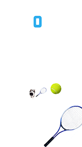 Cat Tennis