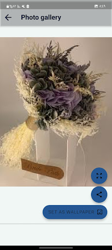 مسكات عروس Screen 2