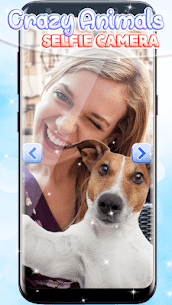 Crazy Animals Selfie Camera For Pc – Free Download (Windows 7, 8, 10) 1