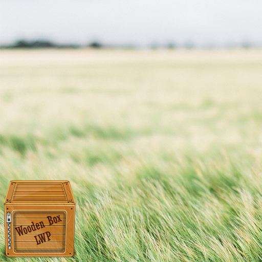 paddy field wallpaper logo