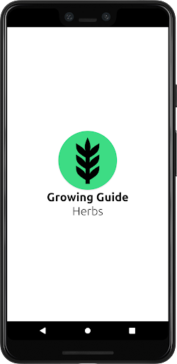 Growing Guide To Herbs 6