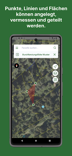 Waldfinder Vorarlberg Screen 3