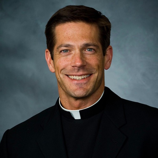 Fr.Mike Schmitz Teachings logo