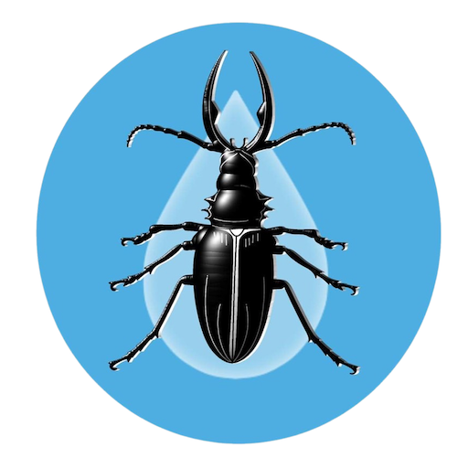 RainBug logo