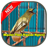 Master Pleci Ngalas Ngerol icon