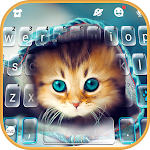 Cover Image of Скачать Тема для клавиатуры Cute Kitty  APK