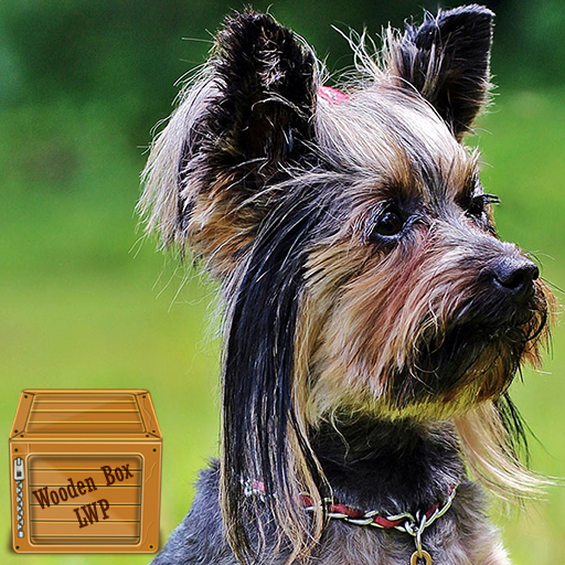 yorkshire terrier wallpaper logo