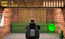 screenshot of Pistol shooting. Desert Eagle