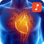 Human Heart Sound Effects