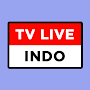 TV Indonesia Live Digital Liga