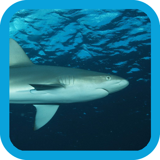 eGuide to Sharks and Rays logo