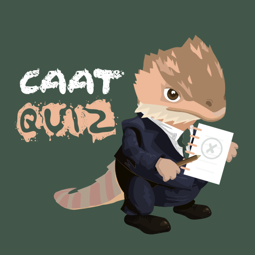 Simulados BNB e CNU - CaatQuiz logo