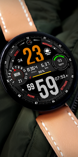 FSW216 WATCHFACE Screen 2