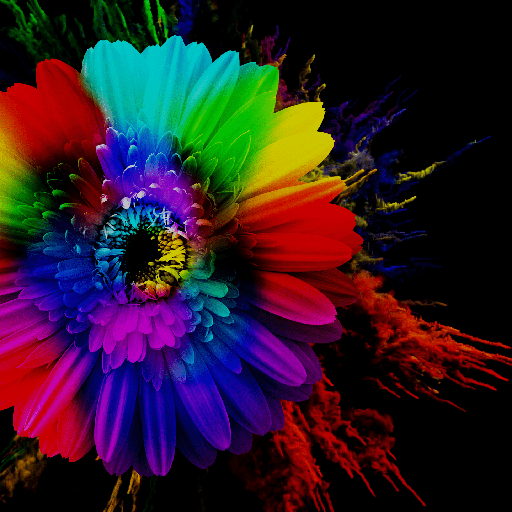 Colorful Gerbera - Wallpaper logo