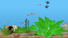 Aquarium Fishのおすすめ画像1