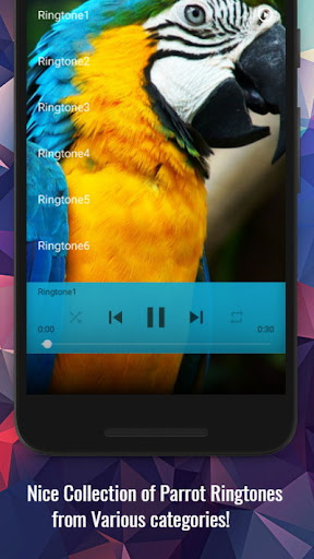 Parrot Sounds Screen 2