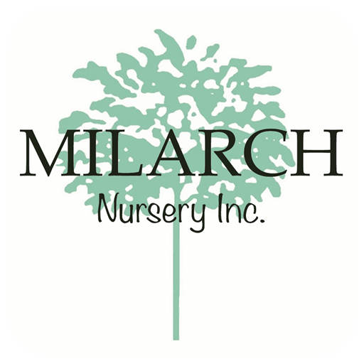 Milarch Nursery logo