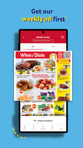 Winn-Dixie Screen 3