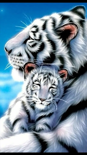Download Animals wallpapers Free for Android - Animals wallpapers APK  Download 