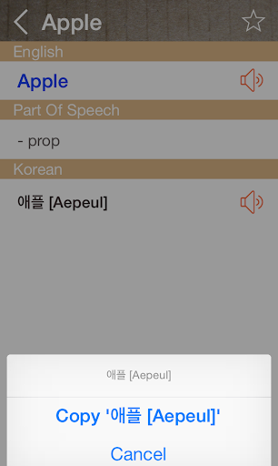 Korean English Dictionary Screen 3