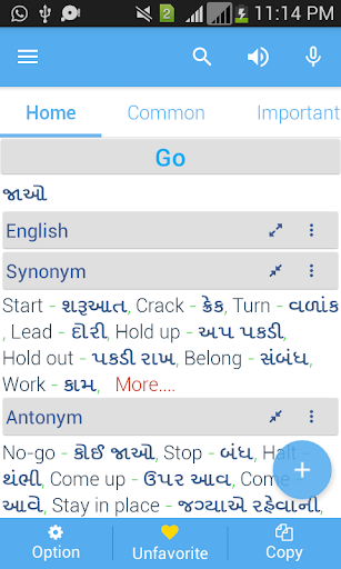 Gujarati Dictionary Multifunct Screen 3