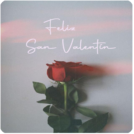 DÍA DE LOS ENAMORADOS ROSAS logo